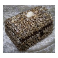 4" Small Rectangular Nassa Shell Jewelry Box