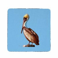 4" Square Brown Pelican on Blue Coaster