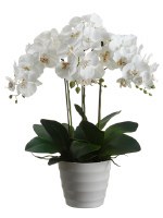 28" Faux White Phalaenopsis in White Pot