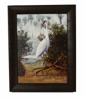 18" x 14" Great White Heron Framed Print