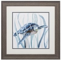 19" Square Left-facing Turtle in Seagrass Framed Print Under Glass