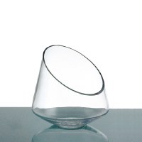 8" Clear Round Angled Rim Glass Bowl