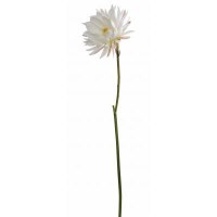 37" Faux White Artificial Lotus Flower