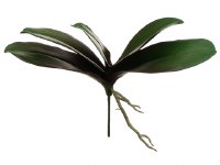 13" Green & Burgundy Artificial Phalaenopsis Leaf Spray