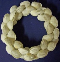 4" White Ark Shell Wreath