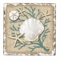 Set of 4 Linen Shells Tumbled Tile Coasters