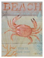 24" x 18" Coral Beach Crab Canvas