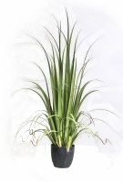 48" Potted Green Artificial Gladiolus Grass