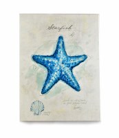 40" x 30" Blue Starfish Print on White Canvas
