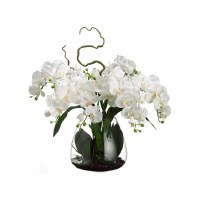 28" Faux White Phalaenopsis Orchid in Glass Vase