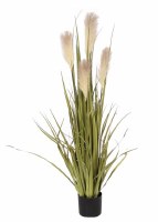 72" Faux Reed Grass & Cream Artificial Flowers in Pot