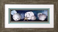 16" x 28" Sand Dollars & Starfish Matted Print Under Glass