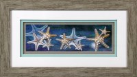 16" x 28" Starfish on Blue Matted Print Under Glass