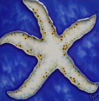 6" Square Distressed White Finish Starfish on Blue Ceramic Tile