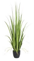 60" Faux Green Artificial Gladiolus Grass in Black Pot