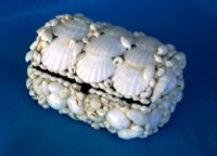 6" Small White Seashell Treasure Box