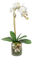 23" Faux White Phalaenopsis and Moss set in Quartz & Stone in Glass Vase