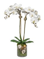 27" Faux Double White Quartz Crystal Phalaenopsis in Glass Vase