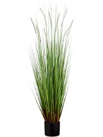 48" Faux Green Dogtail Grass in Black Pot