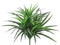 13" Small Green Artificial Dracaena Bush