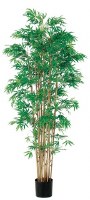 72" Potted Green Artificial Japonica Bamboo Tree