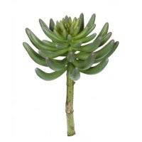 9" Faux Green Rounded Artificial Leaf Succulent