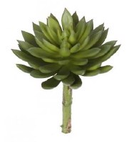 8" Faux Green Artificial Hens and Chicks Succulent