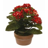 8" Faux Red Kalanchoe Flowers in Brown Pot