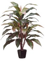 40" Faux Red and Green Artificial Cordyline in Black Plastic Pot