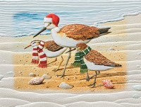4" x 6" Box of 10 Chilly Birds Greeting Cards