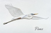 8.5" x 5.5" Box of 16 Blue Heron Peace Greeting Cards