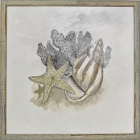 24" x 24" Gray and Taupe Starfish Sea Life Study Gel Textured Print with No Glass
