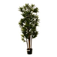 60" Green Artificial Dracaena Reflexa Tree in Black Pot