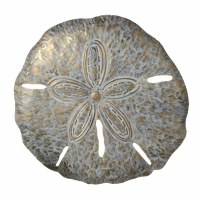 19" Large Distressed Gold Metal Finish Sand Dollar Coastal Wall Art Plaque