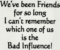 "We've Been Friends For So Long I Can't Remember Which One Of Us Is The Bad Influence!" Kitchen Towel