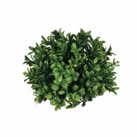 8" Green Artificial Boxwood Bush Orb