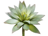 9" Faux Green and Gray Artificial Echeveria Succulent Spray