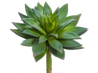 9" Faux Green Artificial Echeveria Succulent Spray