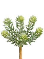 7" Faux Green and Gray Soft Artificial Sedum Succulent Spray