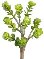 9" Faux Green Artificial Sedum Succulent Spray