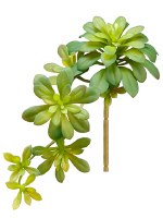 12" Faux Green Soft Artificial Aeonium Succulent Spray