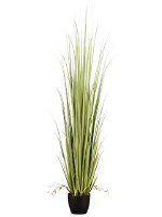 84" Light Green Artificial Reed Grass in Black Pot