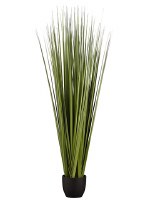 66" Dark Green Artificial Reed Grass in Black Pot