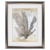 34" x 28" Silver Coral Splendor 1 Framed Print Under Glass