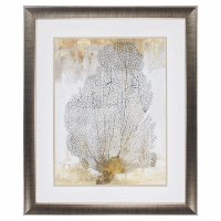 34" x 28" Silver Coral Splendor 2 Framed Print Under Glass