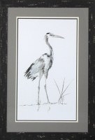 35" x 25" Gray Heron Study 1 Framed Print Under Glass