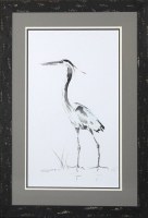 35" x 25" Gray Heron Study 2 Framed Print Under Glass