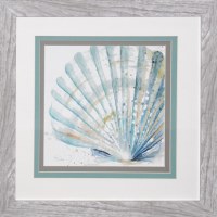 21" Square Blue Scallop Shell Study Framed Print Under Glass