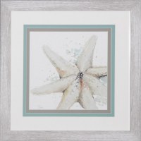 21" Square Cream Starfish Framed Under Glass
