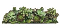 26" Faux Green Artificial Succulent Mix in Rectangular Silver Tray